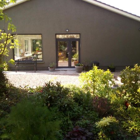 Spacious Contemporary Chalet Type Apartment. Galway Esterno foto